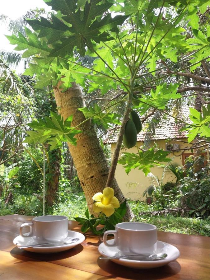 Appartement Phu Quoc Pomelo Garden Extérieur photo