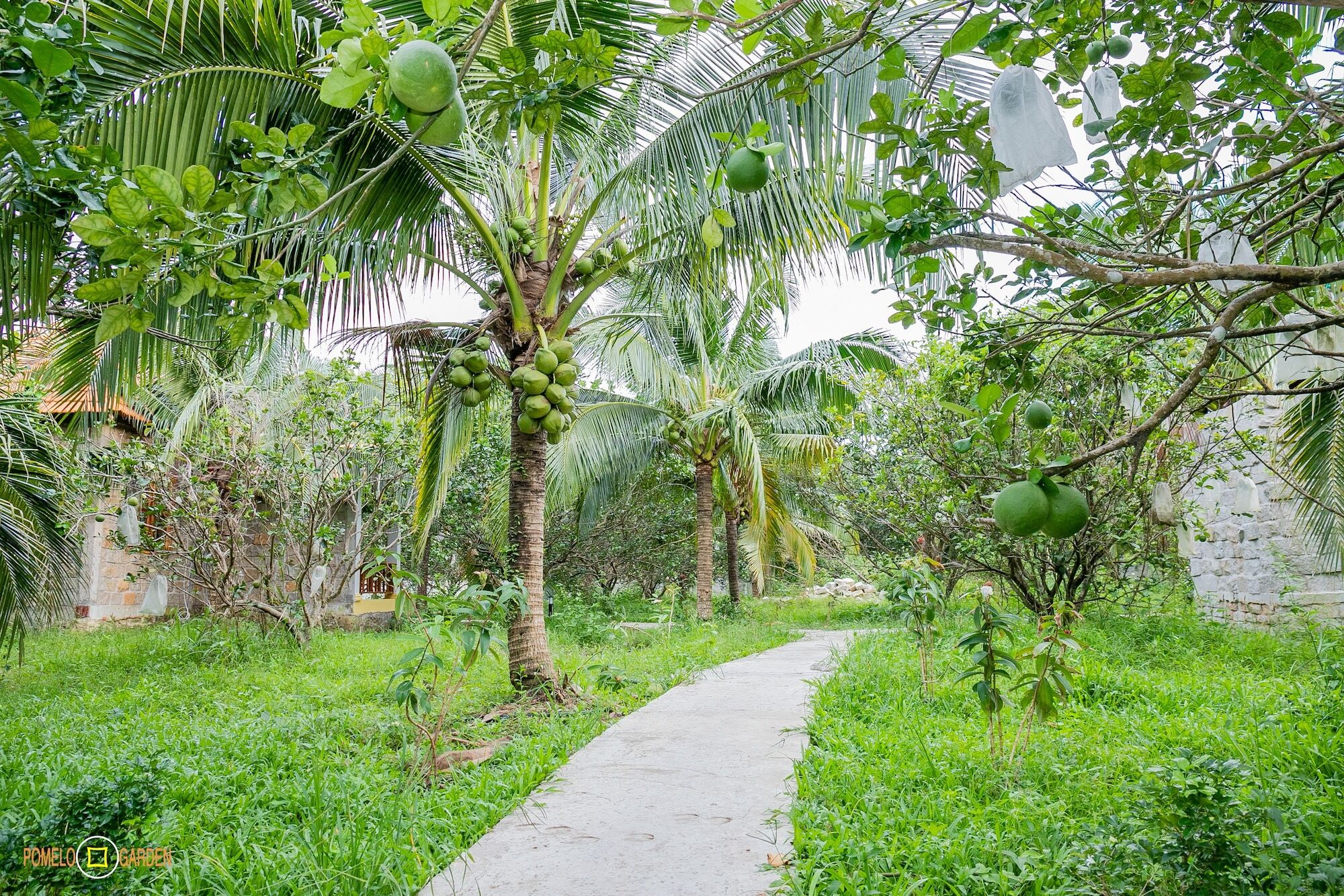 Appartement Phu Quoc Pomelo Garden Extérieur photo
