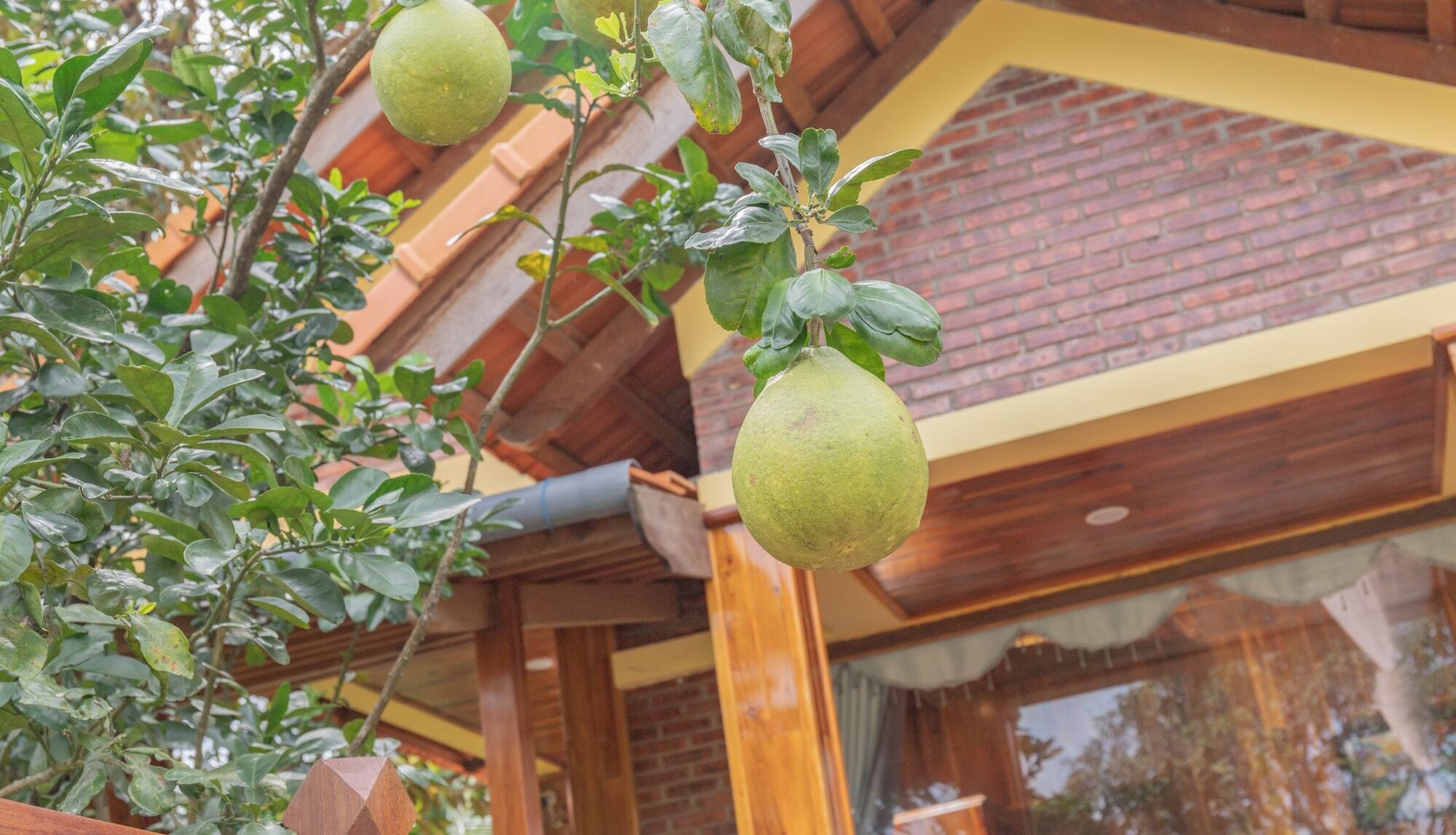 Appartement Phu Quoc Pomelo Garden Extérieur photo